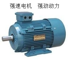 【廠家批發三相異步電動機Y180L-6 15KW 系列電機國標 全銅線】價格,廠家,圖片,其他電動機,臺州市強速電機制造-