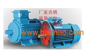 高效節(jié)能三相異步電動(dòng)機(jī) 市場(chǎng)熱銷下的制造趨勢(shì)與價(jià)格解析